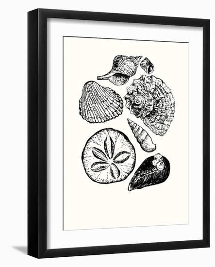 Shells 2-Erin Lin-Framed Giclee Print