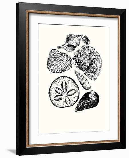 Shells 2-Erin Lin-Framed Giclee Print