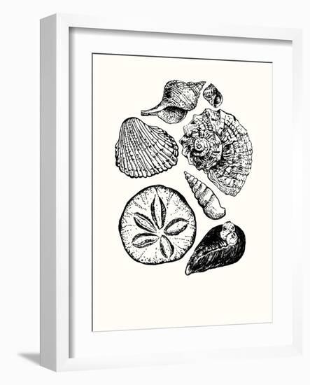 Shells 2-Erin Lin-Framed Giclee Print