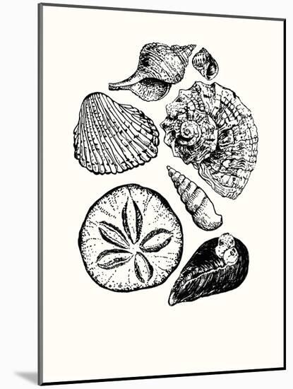 Shells 2-Erin Lin-Mounted Giclee Print