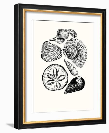 Shells 2-Erin Lin-Framed Giclee Print