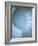 Shells 3-Doug Chinnery-Framed Photographic Print