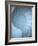 Shells 3-Doug Chinnery-Framed Photographic Print