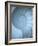 Shells 3-Doug Chinnery-Framed Photographic Print