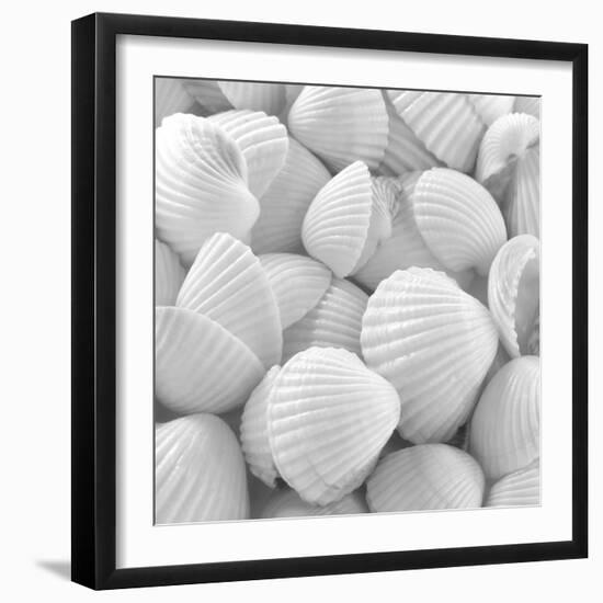 Shells 3-Unknown Unknown-Framed Art Print