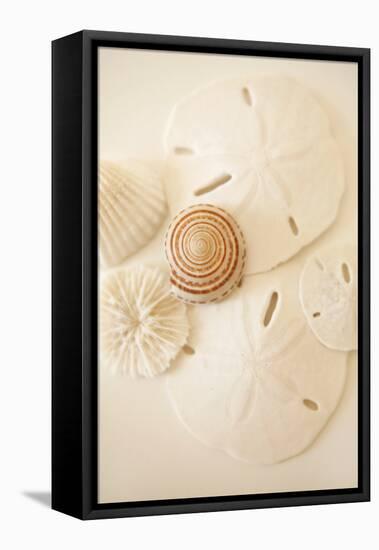 Shells and Dollars-Karyn Millet-Framed Premier Image Canvas