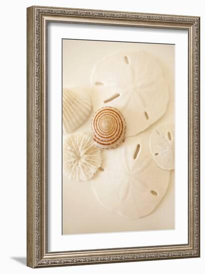 Shells and Dollars-Karyn Millet-Framed Photographic Print