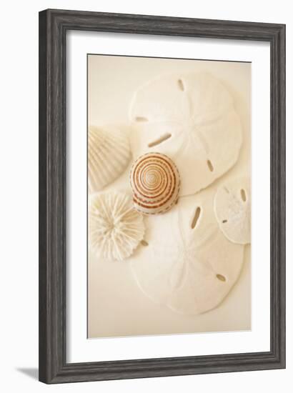 Shells and Dollars-Karyn Millet-Framed Photographic Print