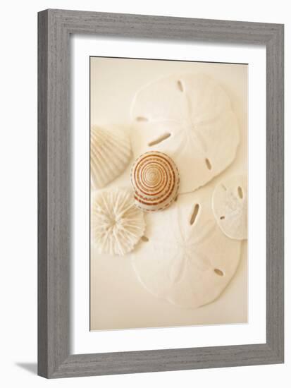 Shells and Dollars-Karyn Millet-Framed Photographic Print