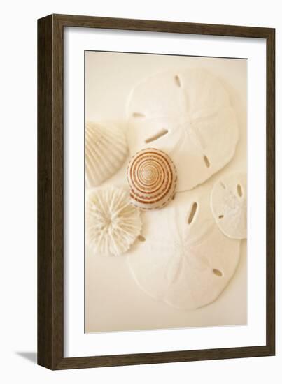 Shells and Dollars-Karyn Millet-Framed Photographic Print