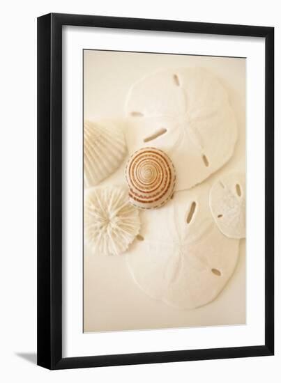 Shells and Dollars-Karyn Millet-Framed Photographic Print