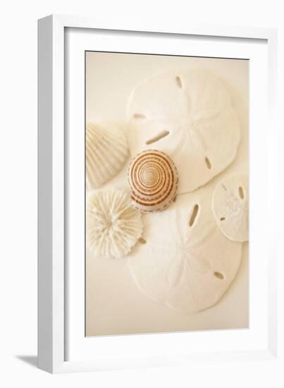 Shells and Dollars-Karyn Millet-Framed Photographic Print