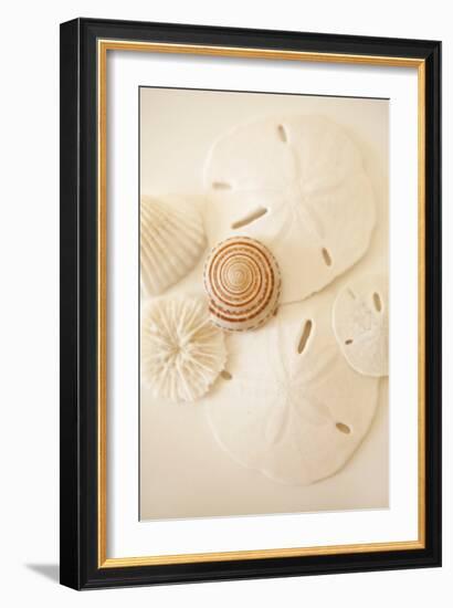 Shells and Dollars-Karyn Millet-Framed Photographic Print