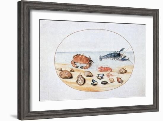 Shells and Shellfish, 16th Century-Joris Hoefnagel-Framed Giclee Print