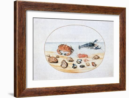 Shells and Shellfish, 16th Century-Joris Hoefnagel-Framed Giclee Print