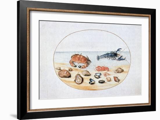 Shells and Shellfish, 16th Century-Joris Hoefnagel-Framed Giclee Print