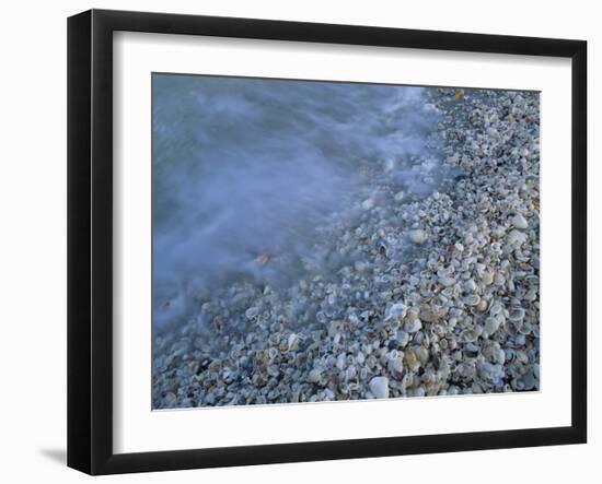 Shells at Beach, Sanibel Island, Florida-Rolf Nussbaumer-Framed Photographic Print