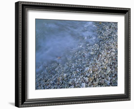 Shells at Beach, Sanibel Island, Florida-Rolf Nussbaumer-Framed Photographic Print