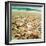 Shells Beach II-Lisa Hill Saghini-Framed Photographic Print