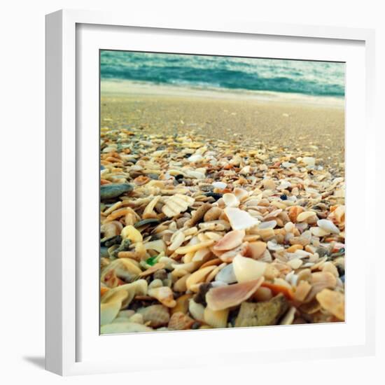 Shells Beach II-Lisa Hill Saghini-Framed Photographic Print