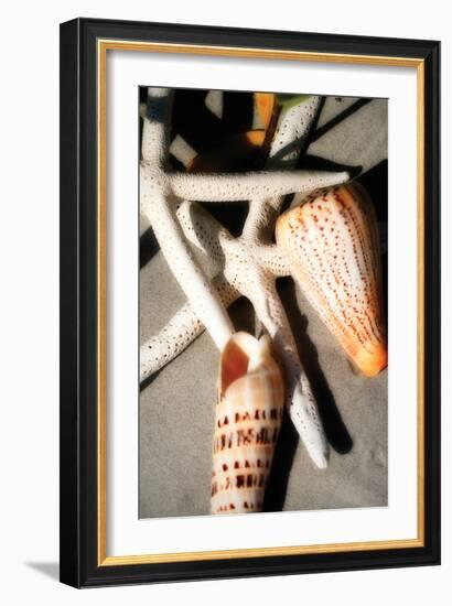 Shells by the Sea I-Alan Hausenflock-Framed Photographic Print