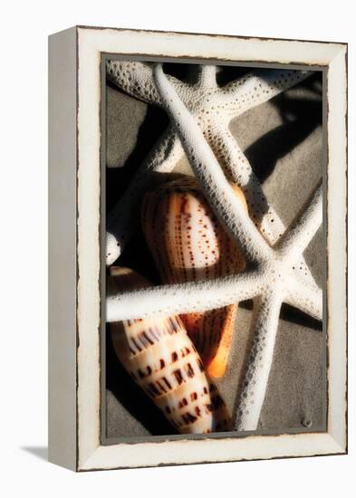 Shells by the Sea II-Alan Hausenflock-Framed Premier Image Canvas