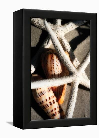 Shells by the Sea II-Alan Hausenflock-Framed Premier Image Canvas