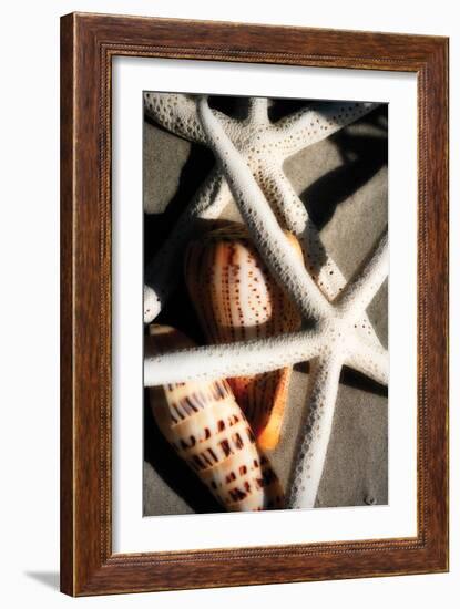 Shells by the Sea II-Alan Hausenflock-Framed Photographic Print