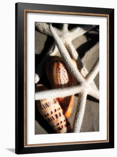 Shells by the Sea II-Alan Hausenflock-Framed Photographic Print