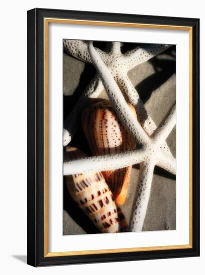 Shells by the Sea II-Alan Hausenflock-Framed Photographic Print