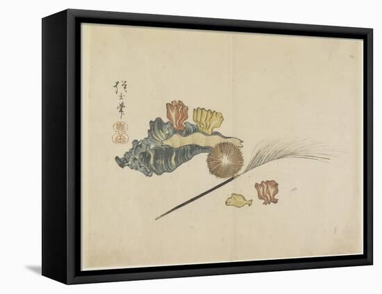 Shells, C. 1830-Hogyoku-Framed Premier Image Canvas