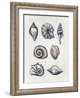 Shells I-Elizabeth Tyndall-Framed Art Print