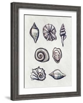 Shells I-Elizabeth Tyndall-Framed Art Print