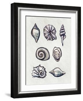 Shells I-Elizabeth Tyndall-Framed Art Print