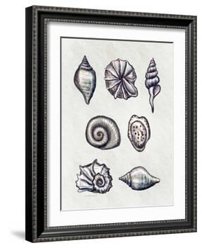 Shells I-Elizabeth Tyndall-Framed Art Print
