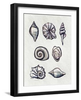 Shells I-Elizabeth Tyndall-Framed Art Print