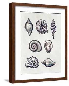 Shells I-Elizabeth Tyndall-Framed Art Print