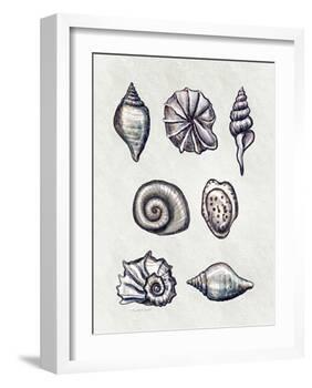 Shells I-Elizabeth Tyndall-Framed Art Print