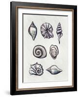 Shells I-Elizabeth Tyndall-Framed Art Print