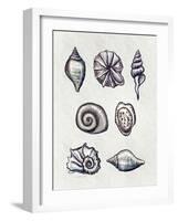 Shells I-Elizabeth Tyndall-Framed Art Print
