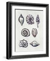 Shells I-Elizabeth Tyndall-Framed Art Print