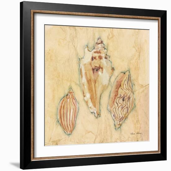 Shells I-Cheri Blum-Framed Art Print