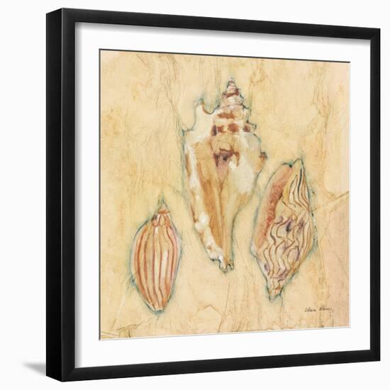 Shells I-Cheri Blum-Framed Art Print