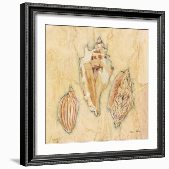 Shells I-Cheri Blum-Framed Art Print