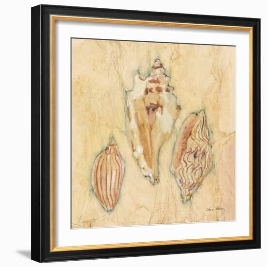 Shells I-Cheri Blum-Framed Art Print