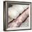 Shells II-Nicole Katano-Framed Photo