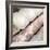 Shells II-Nicole Katano-Framed Photo