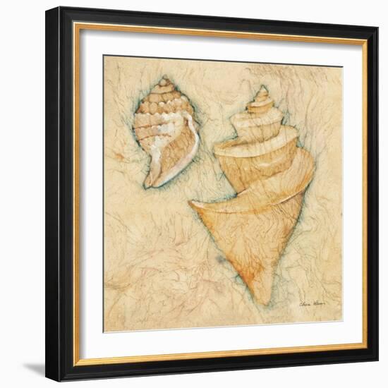 Shells II-Cheri Blum-Framed Art Print