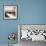 Shells III-Nicole Katano-Framed Photo displayed on a wall