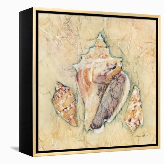 Shells III-Cheri Blum-Framed Stretched Canvas